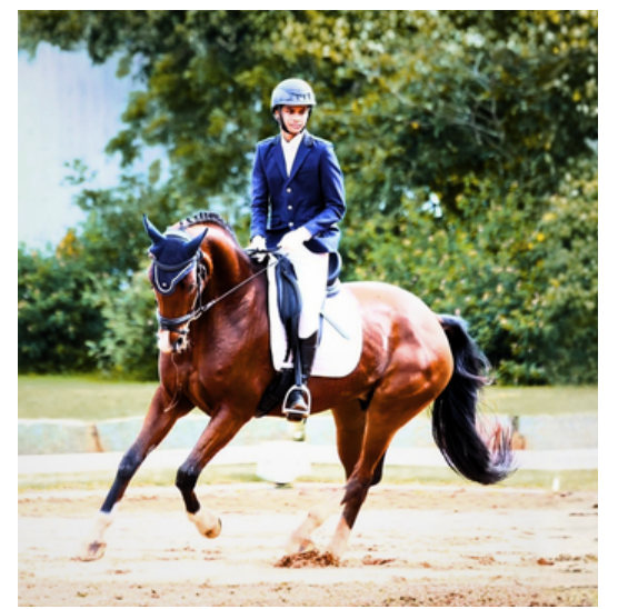 Shuubh Chowdhari International Equestrian