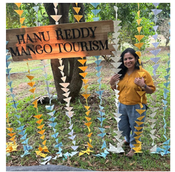 Hanu Reddy Mango Farm