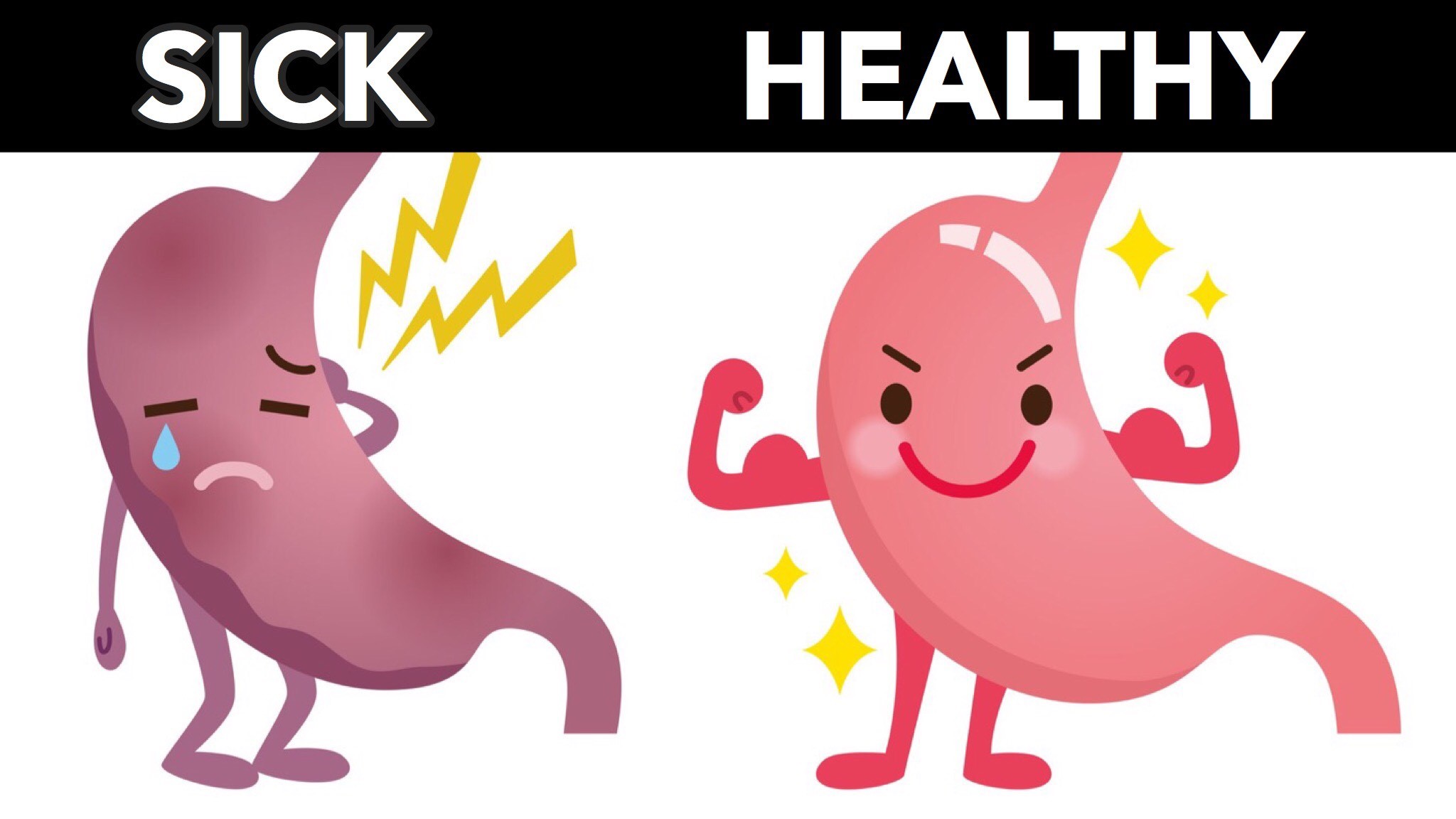 Healthy gut = healthy you — illustration 2