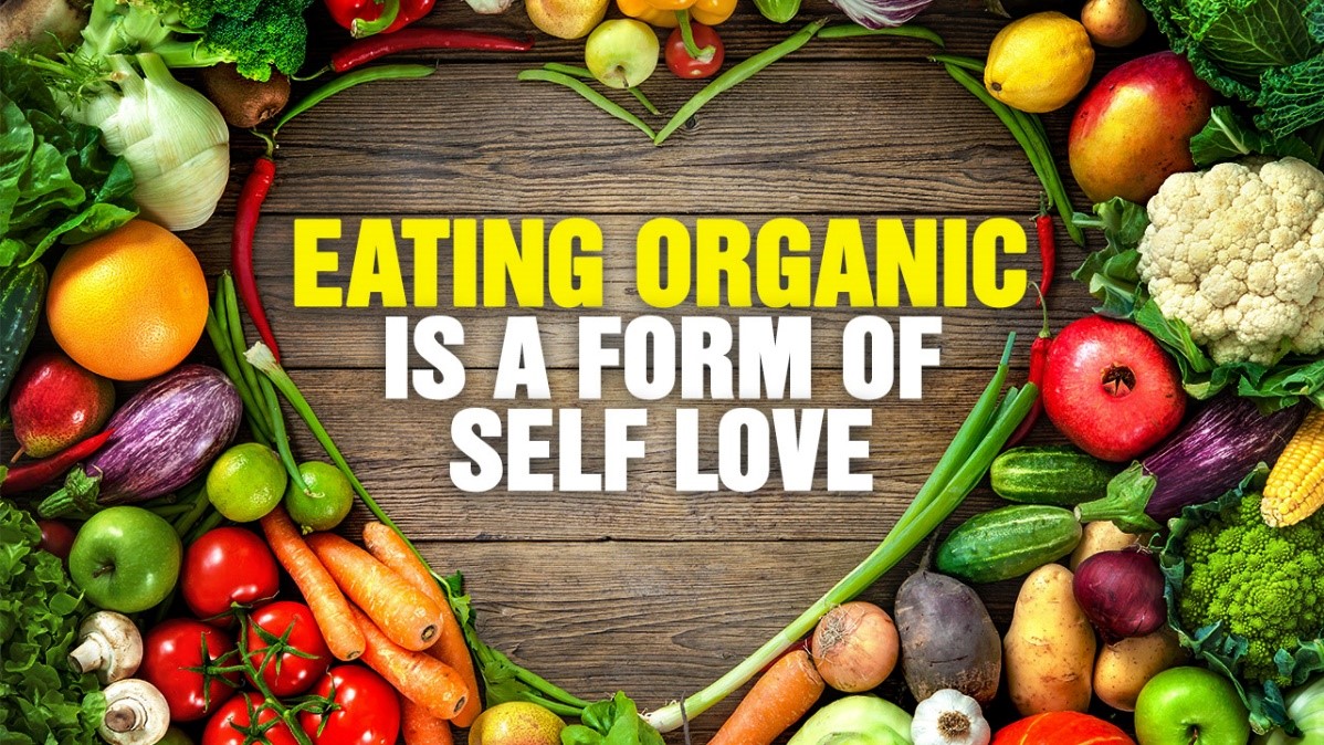 Say no to fad diets! — cover image