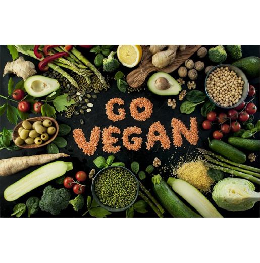 Vegan - the plant based diet — cover image