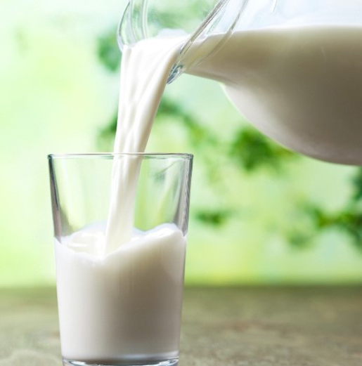 Should you drink milk or not? — cover image